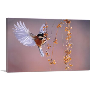 ARTCANVAS Bird Flying Over Berries Home Decor Canvas Art Print