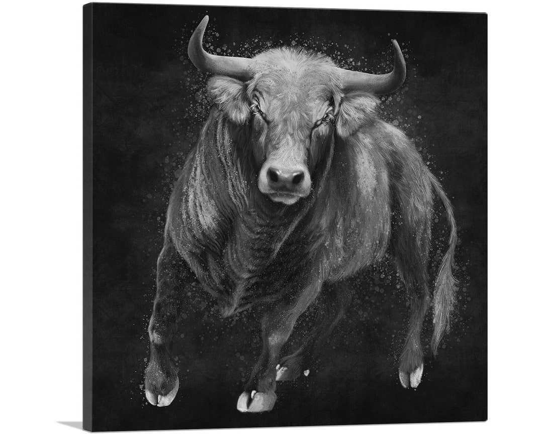 ARTCANVAS Bull Cattle Steer Animal Black White Canvas Art Print - Etsy