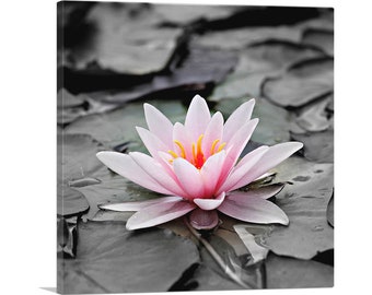ARTCANVAS Water Lily Lotus Home Decor Square Canvas Art Print
