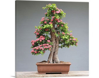 ARTCANVAS Bonsai, Japanese Mini Tree Canvas Art Print