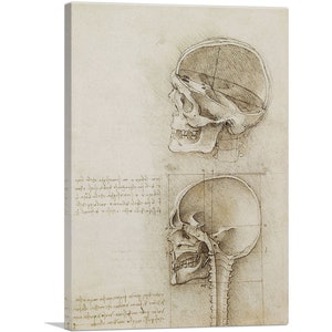 ARTCANVAS Studies of the Human Body - The Skull by Leonardo da Vinci Canvas Art Print