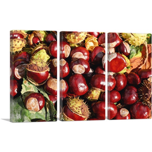 ARTCANVAS Chestnuts Home Decor store Canvas Art Print