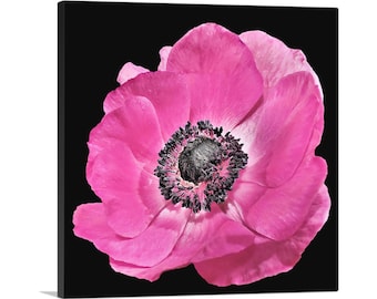 ARTCANVAS Anemone Flower Home Decor Canvas Art Print