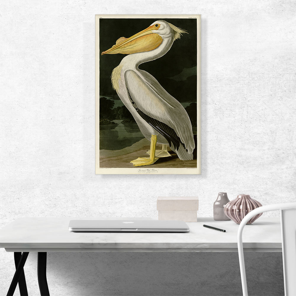 ARTCANVAS American White Pelican by John James Audubon Canvas Art Print ...