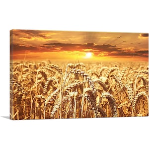 ARTCANVAS Wheat Field Home Decor Canvas Art Print
