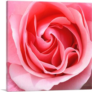 ARTCANVAS Rose Texture Home Decor Canvas Art Print