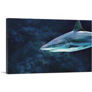ARTCANVAS Shark in Ocean Home Decor Rectangle Canvas Art Print