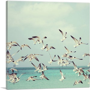 ARTCANVAS Flying Seagulls Home Decor Square Canvas Art Print