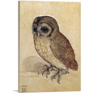 ARTCANVAS The Little Owl - 1506 by Albrecht Durer Canvas Art Print 26&quot;x18&quot;