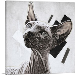 ARTCANVAS Sphynx Cat Breed White Canvas Art Print