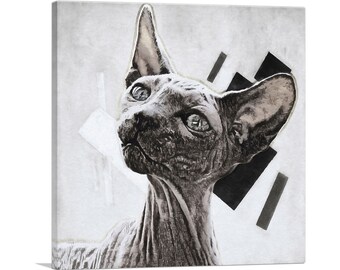 ARTCANVAS Sphynx Cat Breed White Canvas Art Print