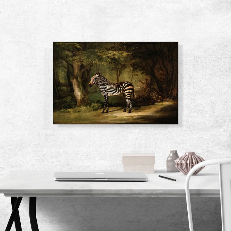 Tableau impression sur toile - Cheval blanc fond blanc – Chevaux Passion