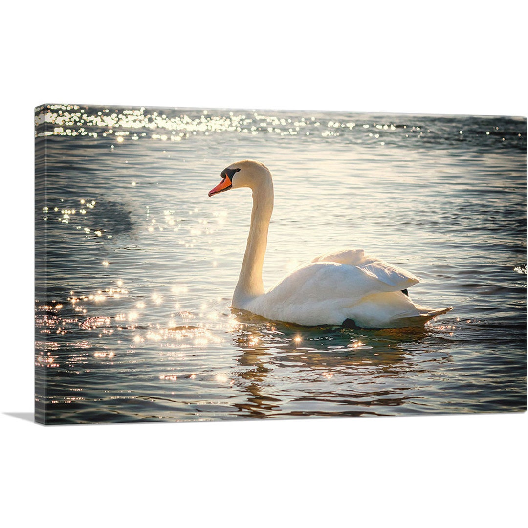 ARTCANVAS Swan in Lake Home Decor Rectangle Canvas Art Print - Etsy