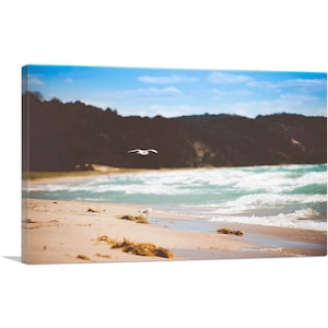 ARTCANVAS Seagulls Flying Walking on a Beach Canvas Art Print