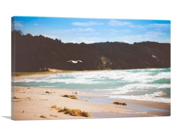 ARTCANVAS Seagulls Flying Walking on a Beach Canvas Art Print