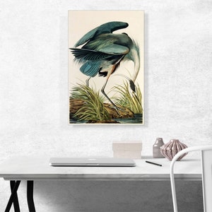 ARTCANVAS Great Blue Heron by John James Audubon Canvas Art Print image 2
