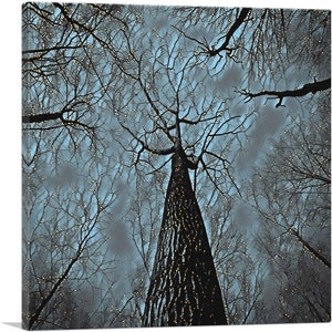 ARTCANVAS Árbol alto Bosque Azul Pintura Decoración del hogar Lienzo Arte Impresión