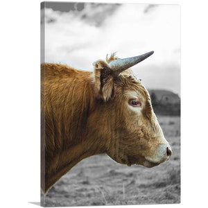ARTCANVAS Brown Cow Bull Village Farm Field Canvas Art Print