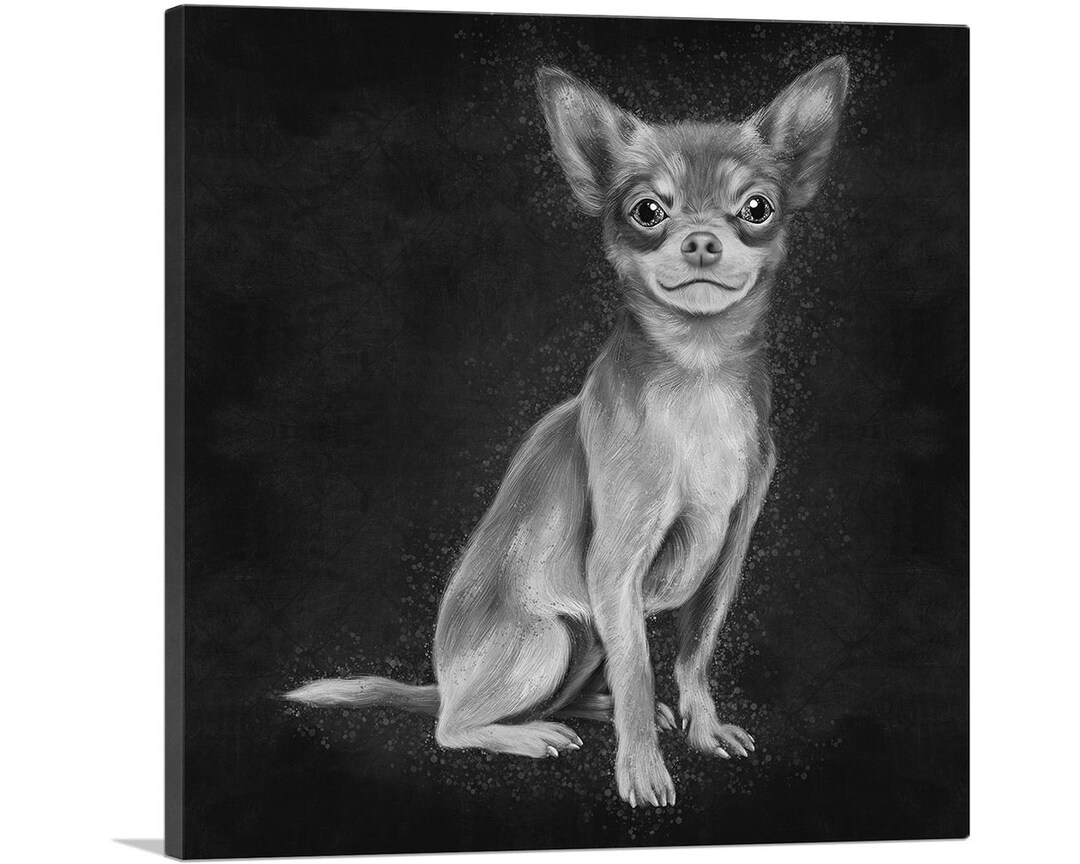 ARTCANVAS Chihuahua Mexican Dog Black White Canvas Art Print - Etsy