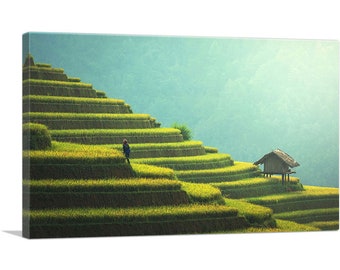 ARTCANVAS Pyramidal Rice Fields Canvas Art Print