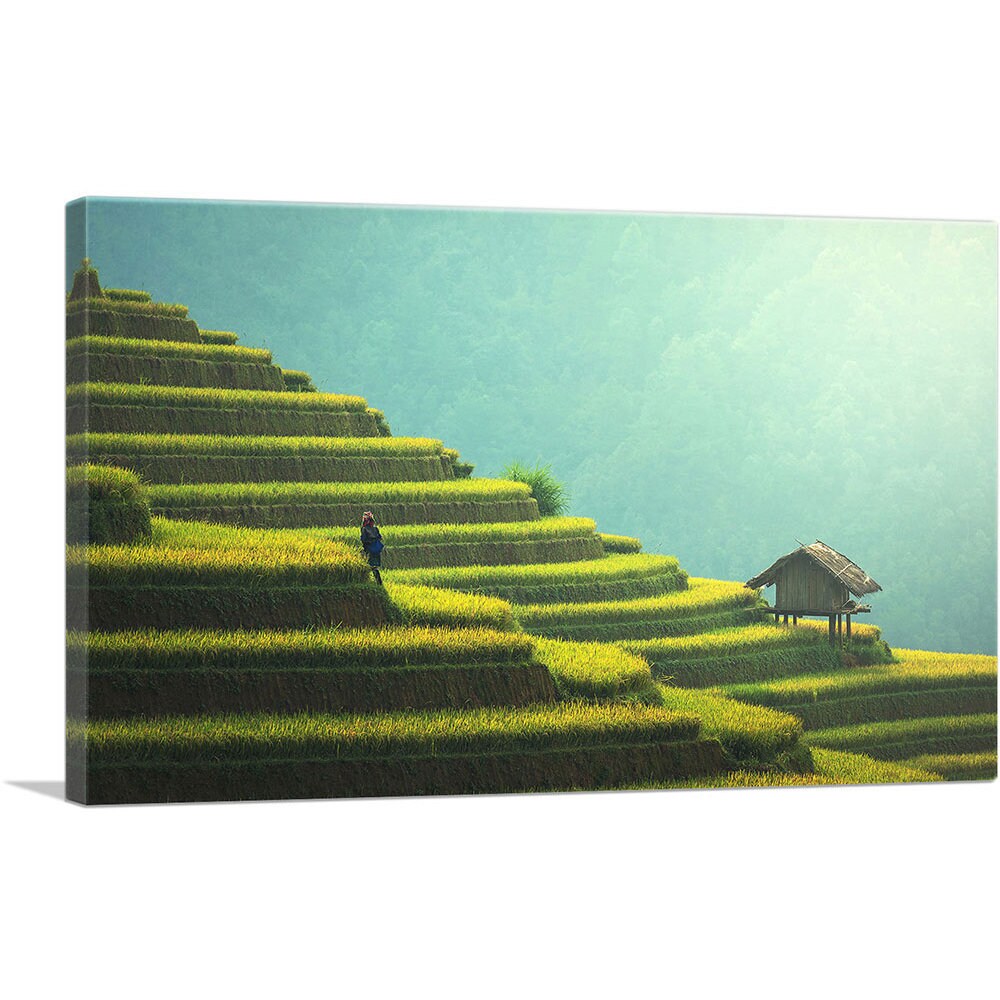 ARTCANVAS Pyramidal Rice Fields Canvas Art Print - Etsy