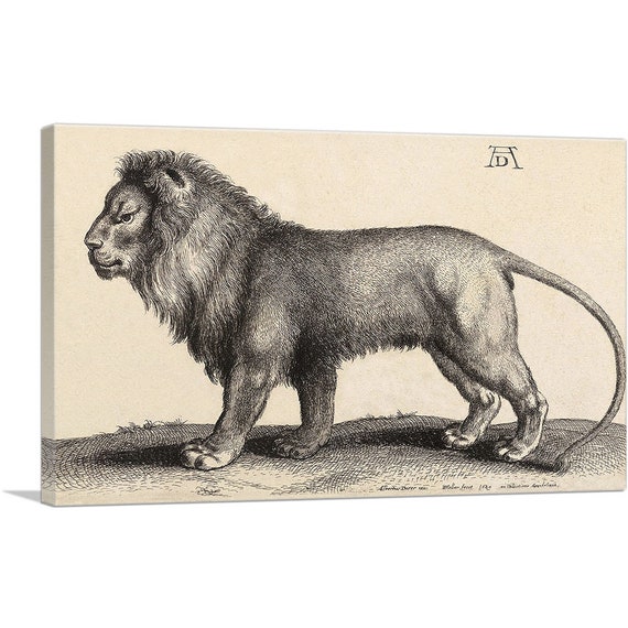 ARTCANVAS A Lion Standing by Albrecht Durer Canvas Art Print - Etsy