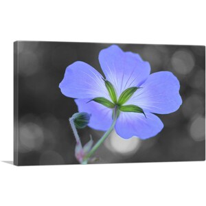 ARTCANVAS Purple Flower in Garden Canvas Art Print