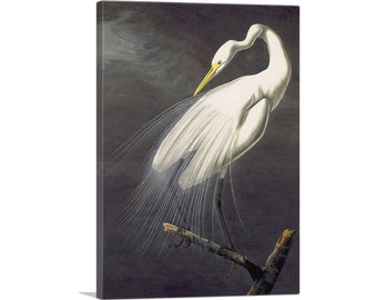 ARTCANVAS Great Egret by John James Audubon Canvas Art Print