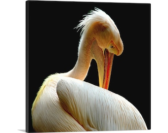 ARTCANVAS Pelican Home Decor Canvas Art Print
