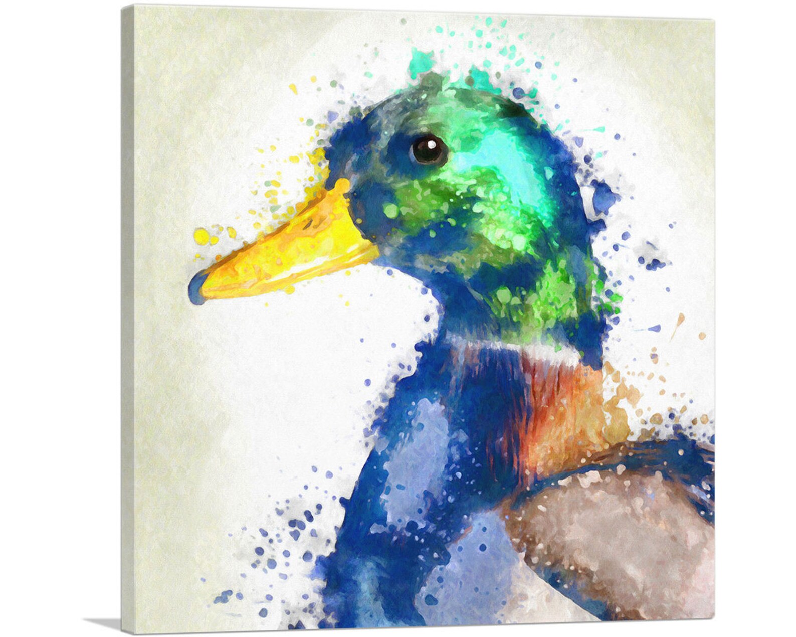 colored duck canvas