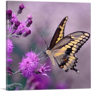 ARTCANVAS Tiger Butterfly in Purple Flower Canvas Art Print