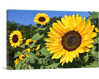 ARTCANVAS Sunflower Field Home Decor Canvas Art Print