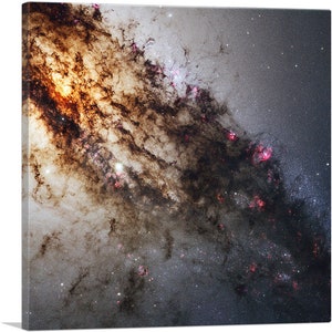 May include: A close-up image of a nebula, a cloud of gas and dust in space, with a bright, orange-yellow center and wispy, dark tendrils extending outward. The nebula is set against a backdrop of a vast, starry sky.