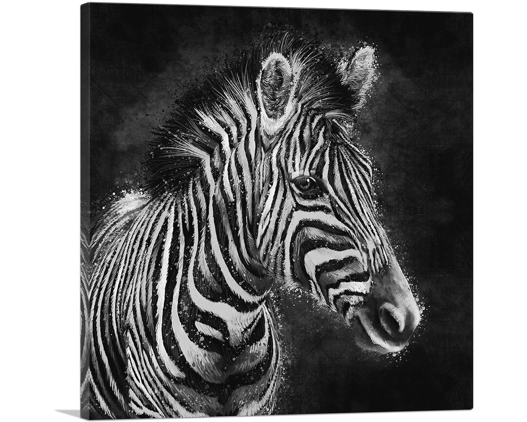 ARTCANVAS Zebra Black White Stripes Africa Canvas Art Print