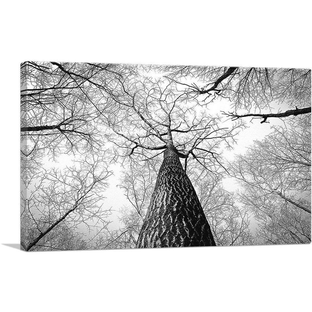 ARTCANVAS Tall Tree Branches Home Decor Rectangle Canvas Art Print - Etsy