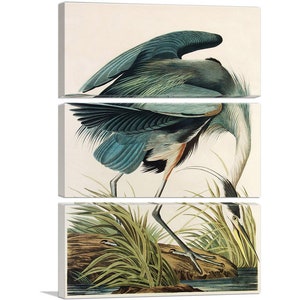 ARTCANVAS Great Blue Heron by John James Audubon Canvas Art Print 60x40 (3-Panel) inches
