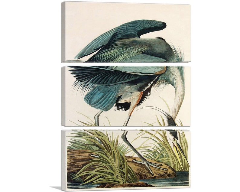 ARTCANVAS Great Blue Heron by John James Audubon Canvas Art Print 60x40 (3-Panel) inches