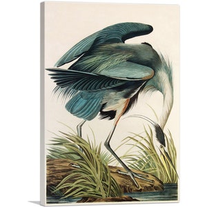 ARTCANVAS Great Blue Heron by John James Audubon Canvas Art Print image 1