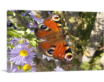 ARTCANVAS Peacock Butterfly on Flowers Home Decor Rectangle Canvas Art Print