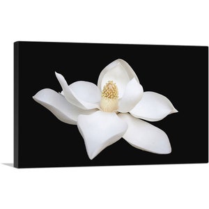 ARTCANVAS Magnolia White Flower Home Decor Rectangle Canvas Art Print