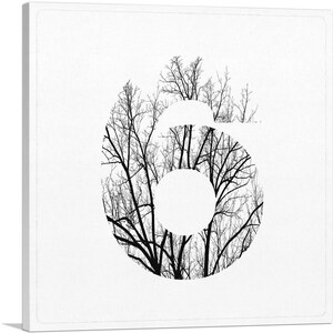 ARTCANVAS Árbol Ramas Alfabeto Número 6 Seis Números Lienzo Impresión