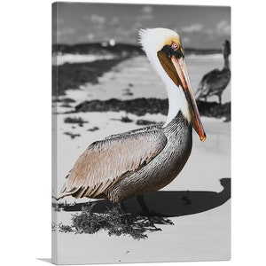 ARTCANVAS Pelican on the Sea Beach Canvas Art Print