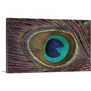 ARTCANVAS Peacock Feather Home Decor Canvas Art Print