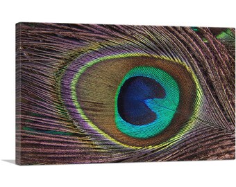 ARTCANVAS Peacock Feather Home Decor Canvas Art Print