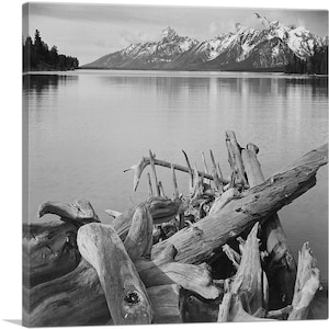 ARTCANVAS Jackson Lake - Grand Teton National Park - Wyoming Black and White Photography Canvas Art Print