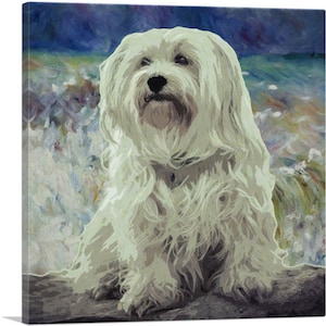 ARTCANVAS Havanese Dog Breed Canvas Art Print