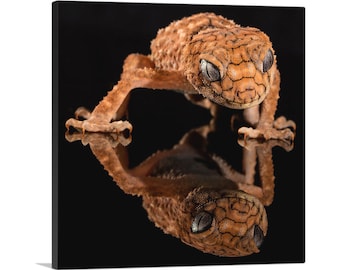 ARTCANVAS Gecko Home Decor Canvas Art Print