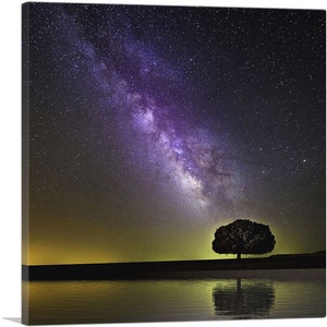 ARTCANVAS Vía Láctea Galaxy y Árbol Lienzo Impresión Artística