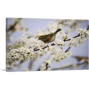 ARTCANVAS - Lienzo decorativo para decoración del hogar, diseño de pájaros y flores