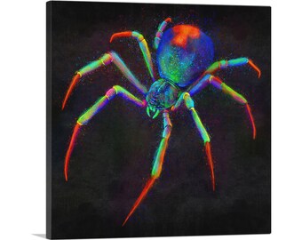 ARTCANVAS Black Window Spider Web Arachnid Canvas Art Print